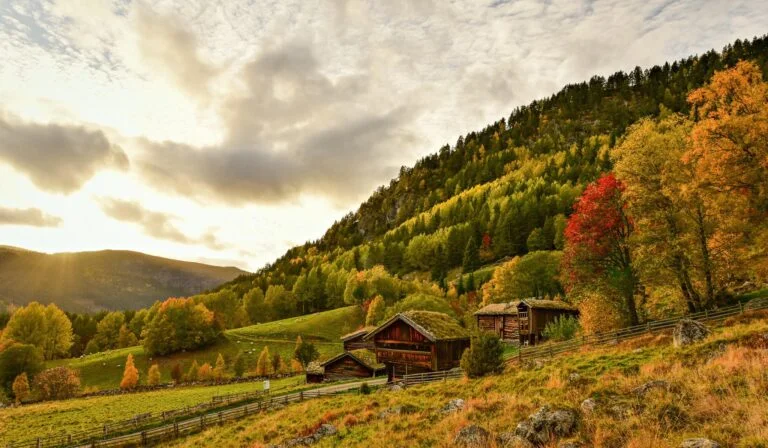 Rygnestadtunet i haustfargar. Foto.