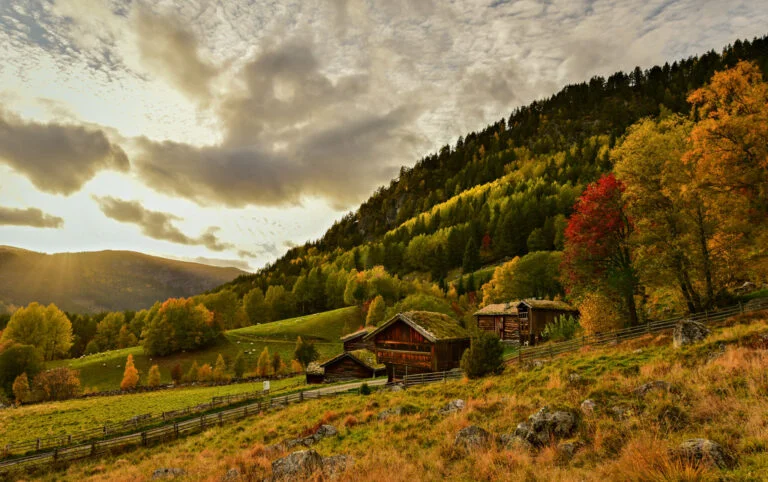 Rygnestadtunet, Valle. Foto.