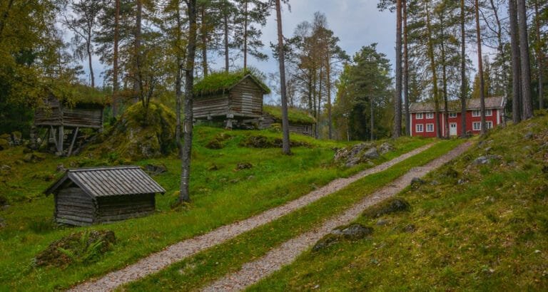 Oversiktsbilde av Iveland og Vegusdal bygdemuseum 8. september 2024. Foto.