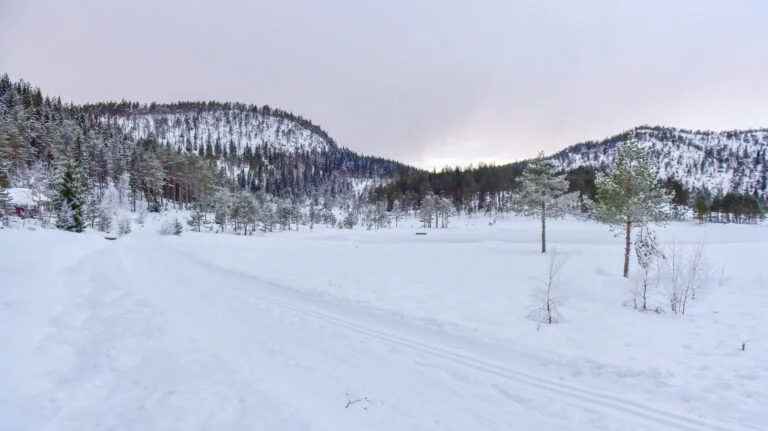 Murtetjønn skiløype. Foto.