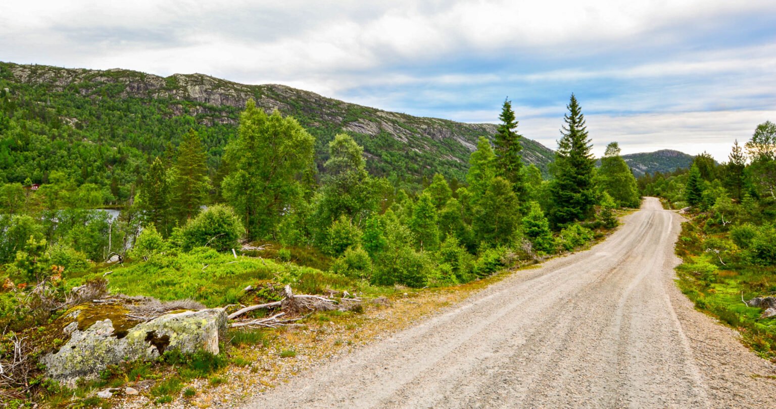 Årdalsvegen. Foto.