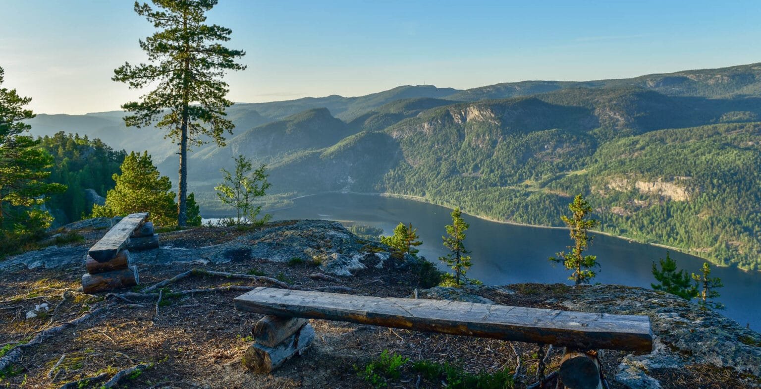 Toppen av Skjoldmøynuten med sittebenker. Foto.