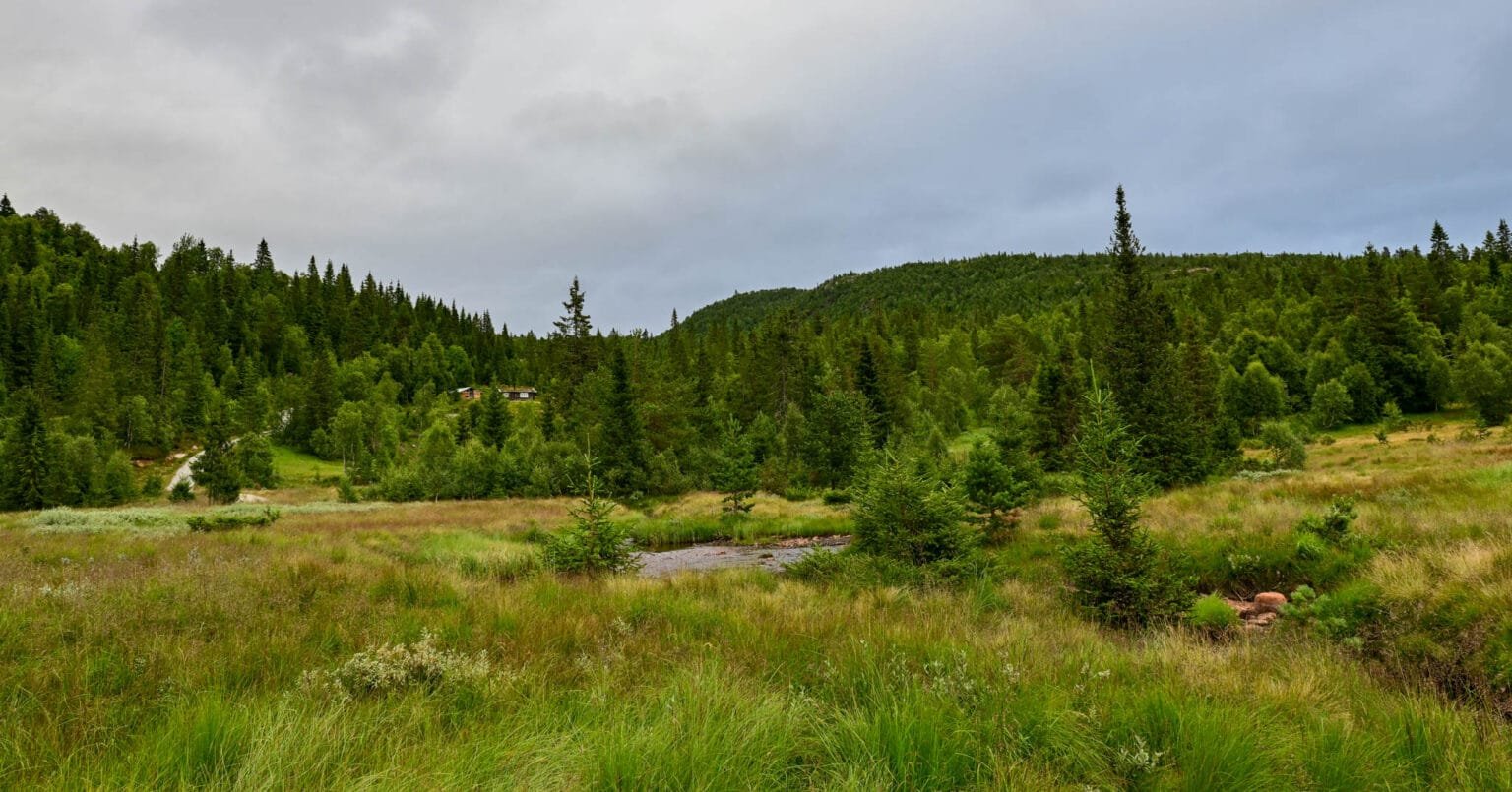 Landskapet rundt Mærstøyl i Hovsdalen. Foto.