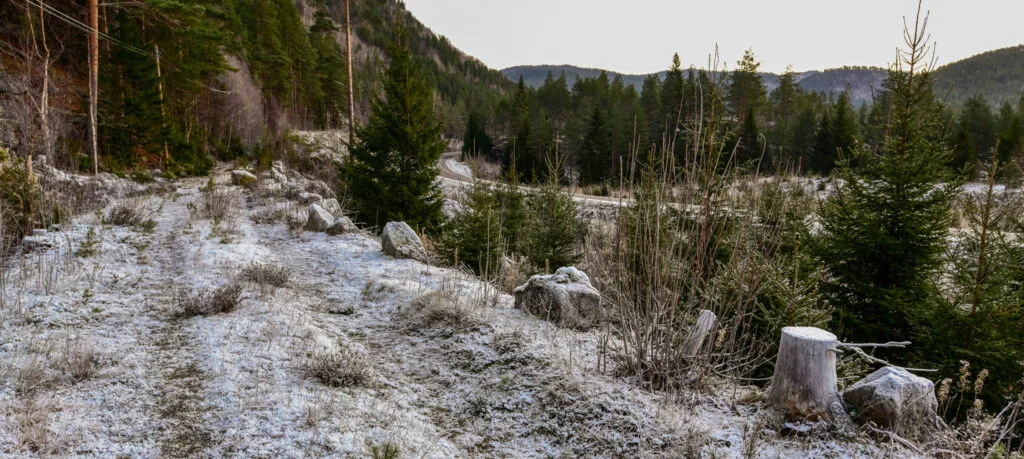 Gamle Setesdalsvegen ved Skorpetveit. Foto.