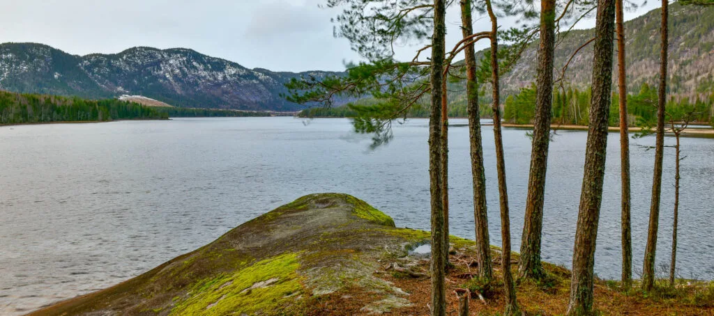 Feleberget 3. januar 2020. Utsyn nordover mot Skomedal. Foto:
