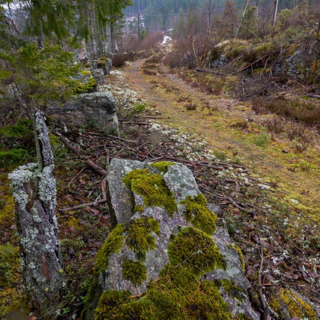 Mellom Fossåna og Tromyr ligg vegen høgare ope i terrenget enn Riksveg 9, som me såvidt kan skimte t.v. i biletet. Foto.