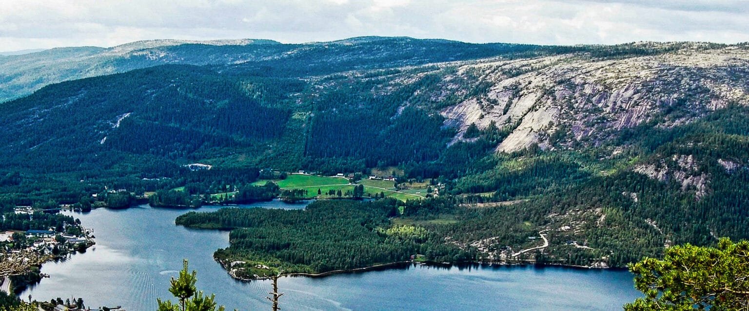 Senum med den flate Runebergmoen midt i biletet, 2010. Foto.