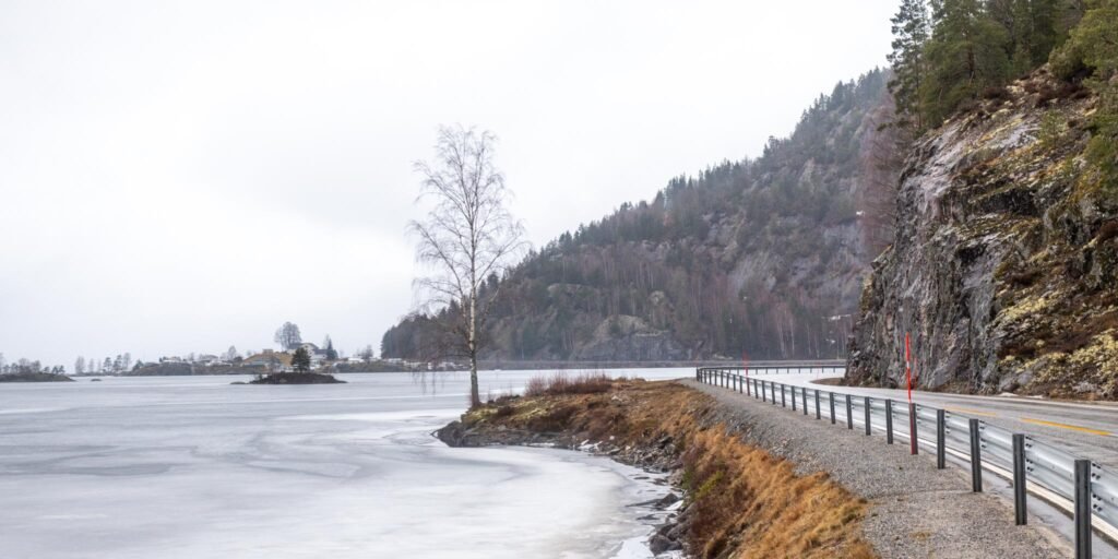 Heimåtsvingen 15. mars 2024. Postvegen gjekk rundt odden der bjørka nå står. Foto.