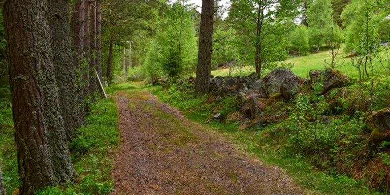 Postvegen forbi Bakken 6. juni 2020. Foto.