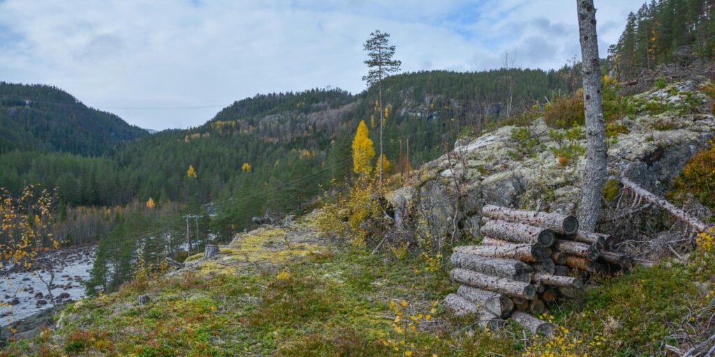 Gamlevegen rundt fjellknausen sør for SessaneOtra djupt under til venstre. Foto.