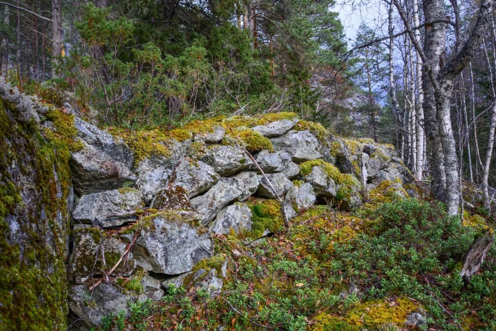 Gamle vegmurar vest for Hågås. Foto.