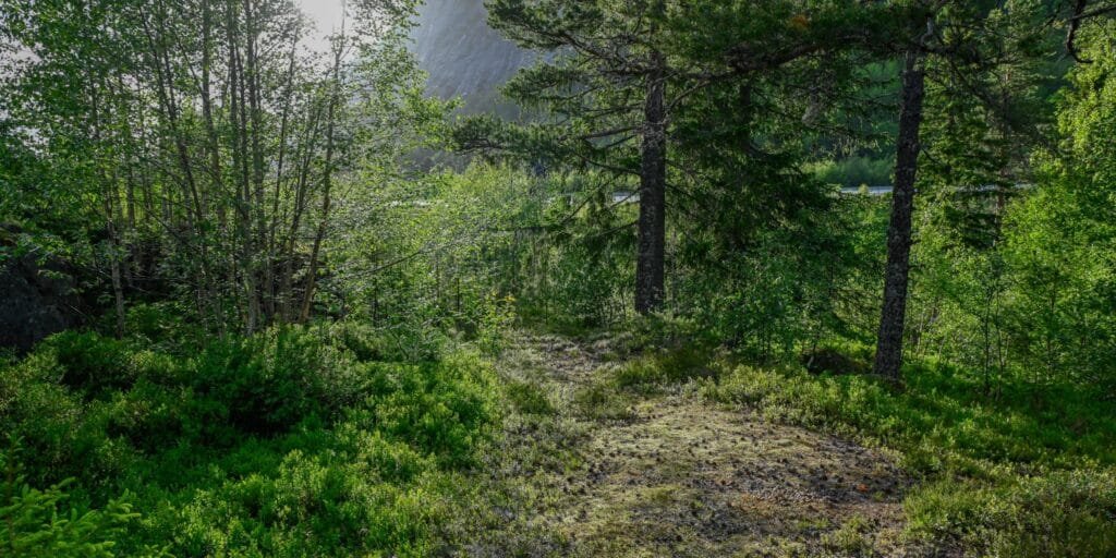 Gamlevegen ved Sveigefoss, med Riksveg 9 i bakgrunnen. Foto.