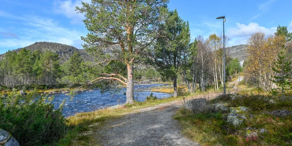 Vikingvegen langs Otra 27. september 2024. Foto.