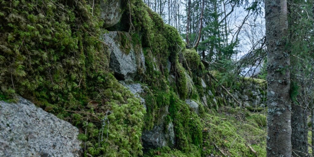 Vassrenna til koparverket i Åraksbø. Foto.