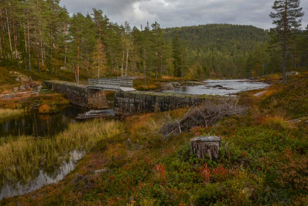 Nordstemmen sett ovanfrå i retning ned mot Tangen 30. september 2024. Foto