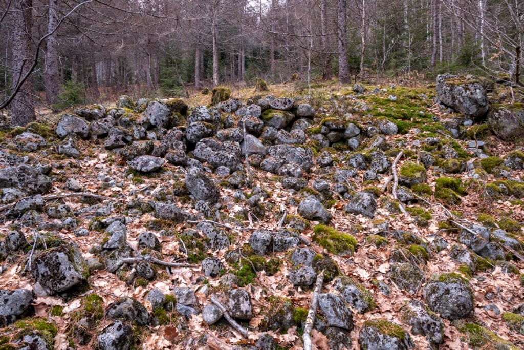 Rydningsrøys i Ramselia. Foto