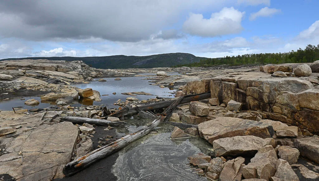 Restar etter tredammen ved Hovatn. Foto.
