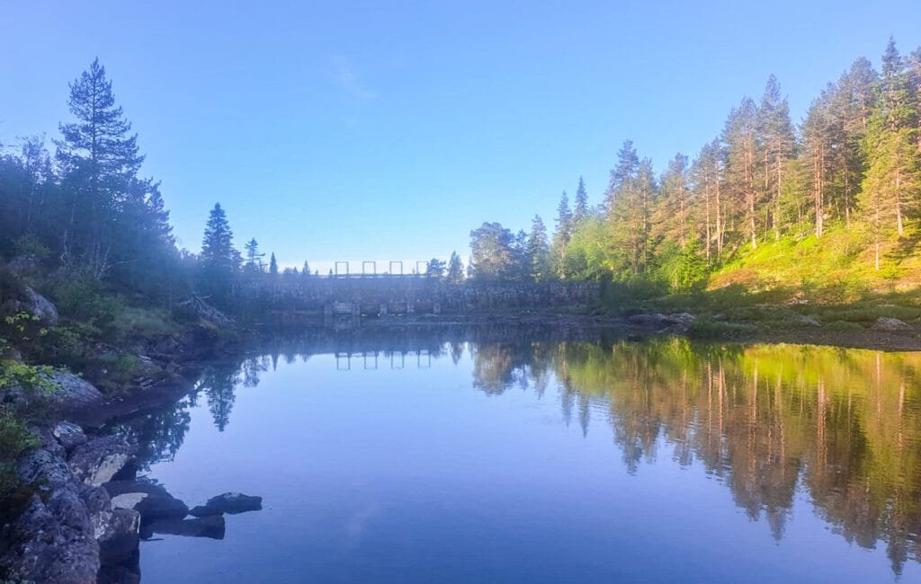 Vakkert ved Straumsfjordstemmen 26. juni 2025. Foto.