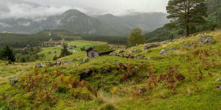 Drenkadøl – Rygnestad