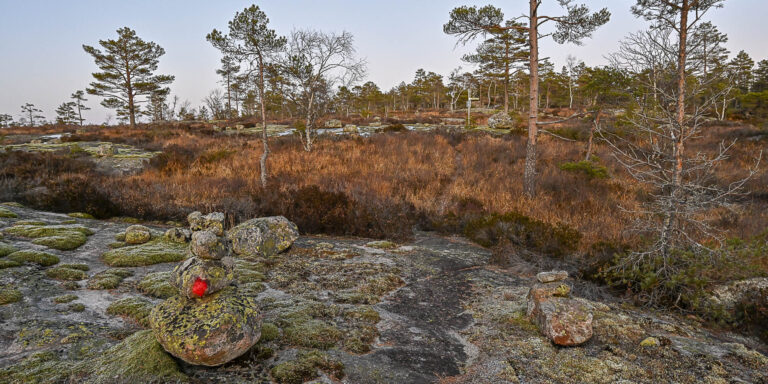 Dalevegen – Lauvåsheia