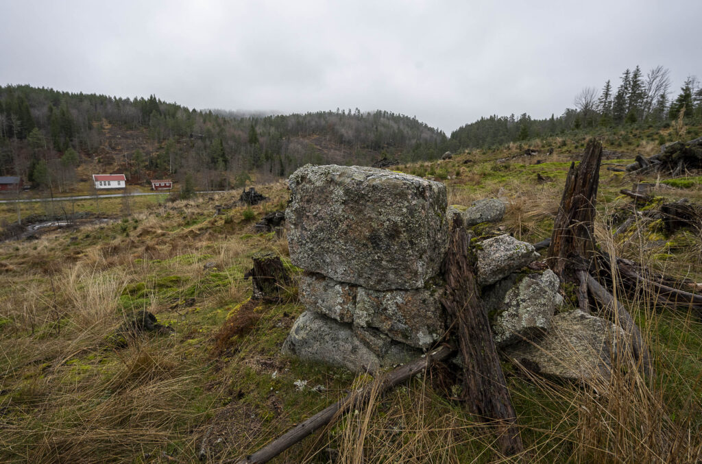 Haldesteinar like nedanfor stogetufta på Rindane. Foto.