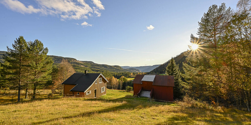 Krokan i nydeleg haustsol 13. oktober 2025. Foto.