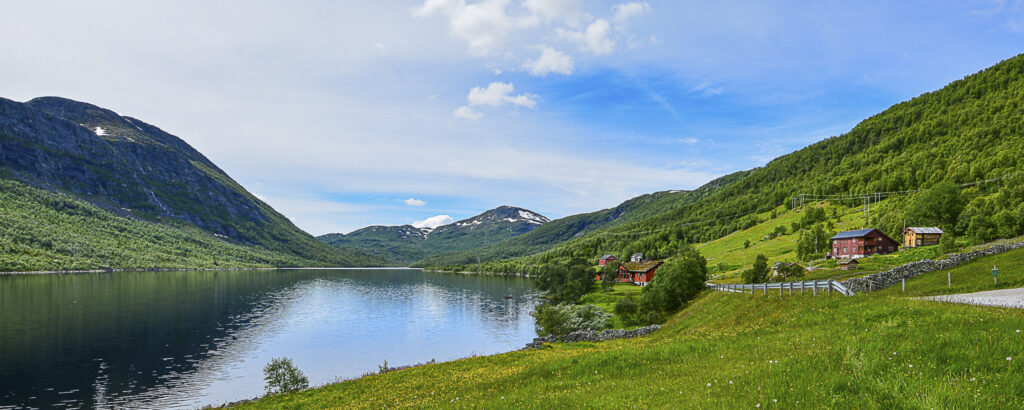 Breive den nydelege sommardagen 25. juni 2016. Foto