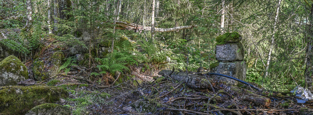 Ei gamal kverntuft langs Hovassåna i Åraksbø. Foto