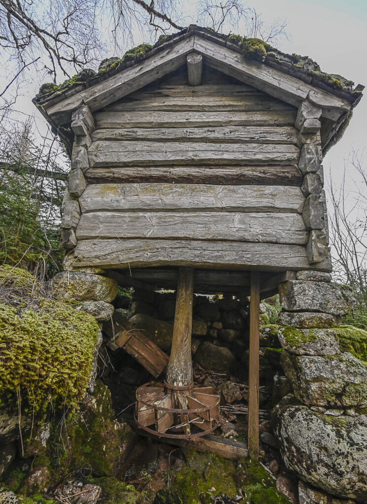 Nordigard Tveiti-kverna med kvernkallen under 14. november 2025. Foto