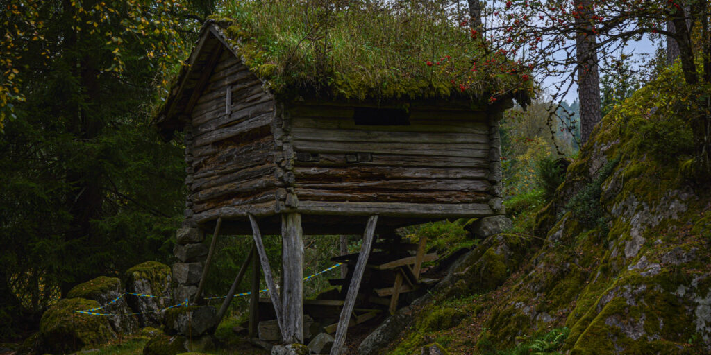 Kvernhuset i skogen på Iveland og Vegusdal bygdemuseum. Foto.