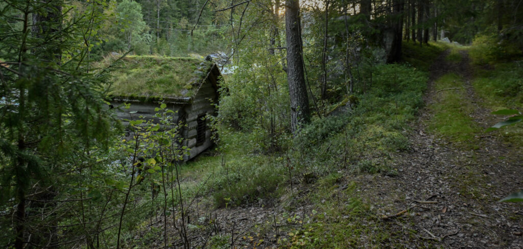 Minne frå ei svunnen tid. Systog Trydal-kverna like ved Postvegen, den fyrste ordentlege køyrevegen oppover til Bykle. Foto.
