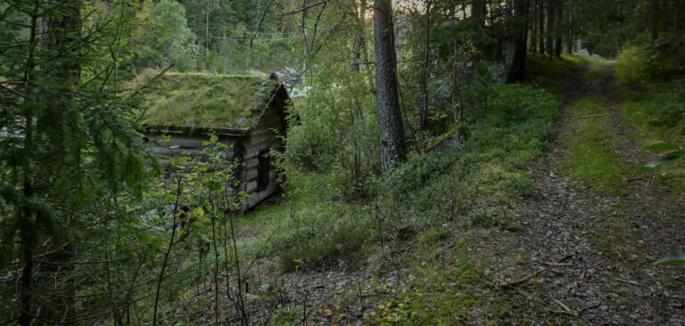 Dei to kvernhusa i Trydalsbekken