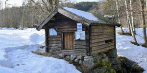 Ramselikverna frå Øvre Dåsvatn