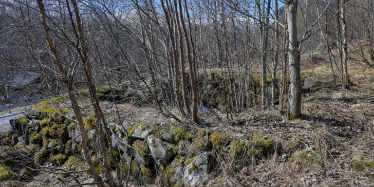 Heggjesletta – heimen til Vise-Taddei