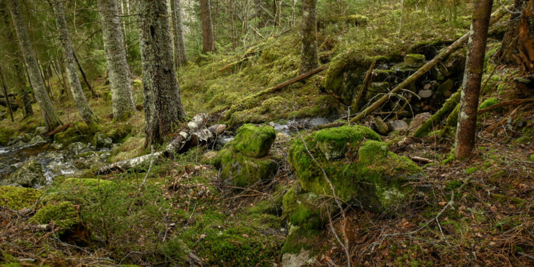 Kverntufta på Stigemo