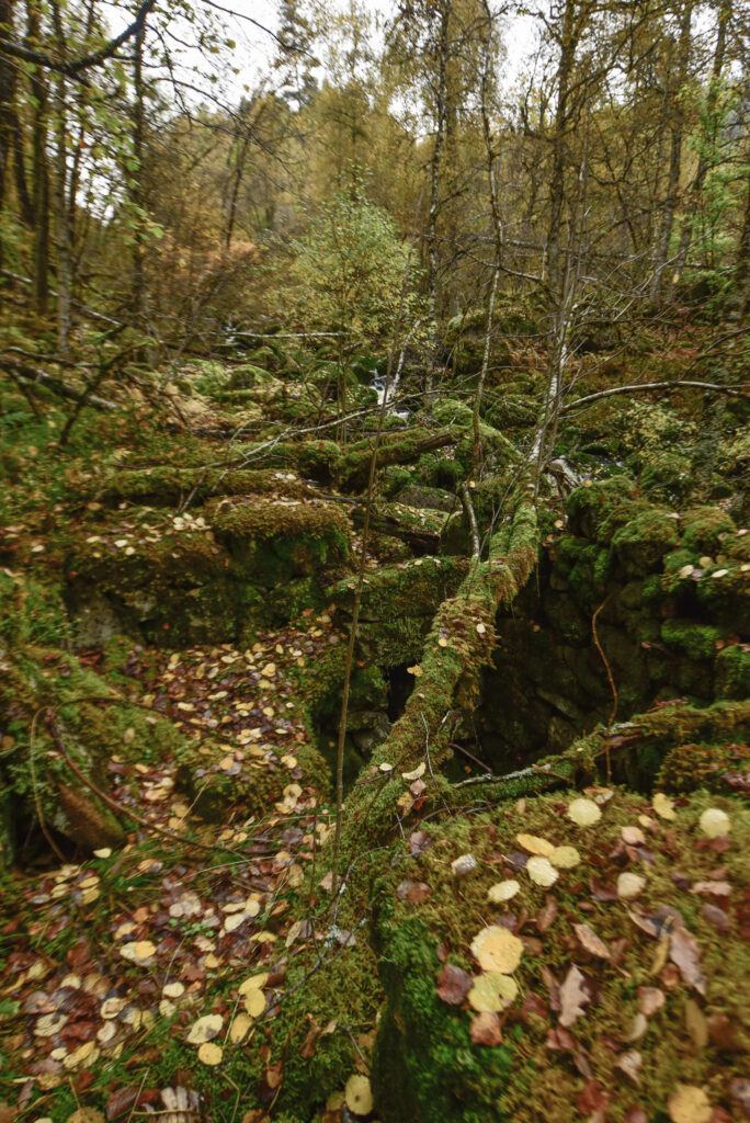Ruinen/murane etter Neslandkverna ved Hånsbekkjen. Vatnet til å drive kvernkallen har nok kome via ei vassrenne i bakkant av murane her. Foto.