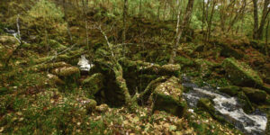 Kvernspor langs Hånsbekkjen i Åseral