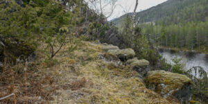 Dalevegen – Øyreviki