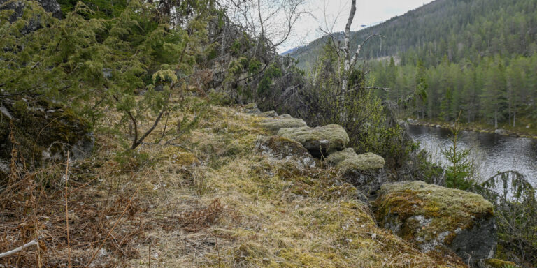 Dalevegen – Øyreviki