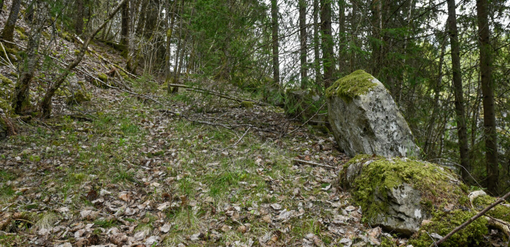 Vegen opp mot toppen frå sør 8. mai 2026. Framleis står nokre av dei svære stabbesteinane mot ytterkanten att. Foto