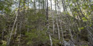 «Tyskarvegen» på Langeid