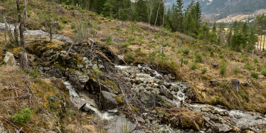 Kvernbekken på Birkeland med den oppmura vassrenna 15. april 2026. Kverntufta var då truleg like nedanfor. Foto.