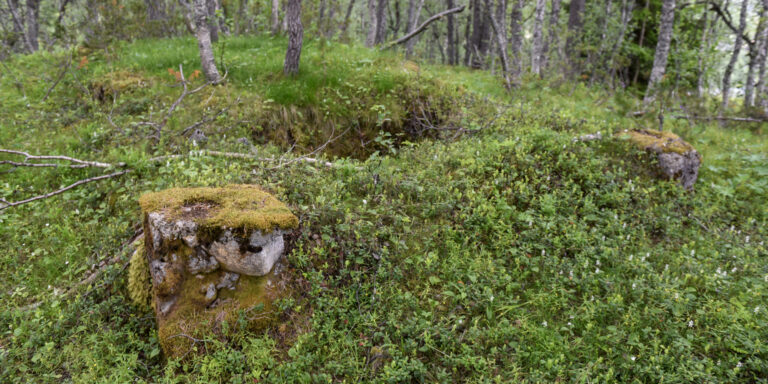Flyvarslingsposten på Tårnhaugen i Bykle