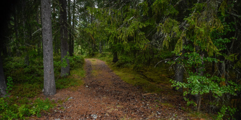Dalevegen – Kvinnåne, Rysstad