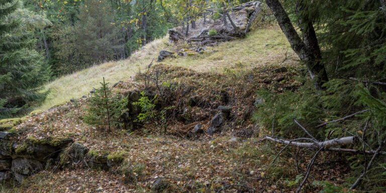 Feddufs – ein husmannsplass i Valle