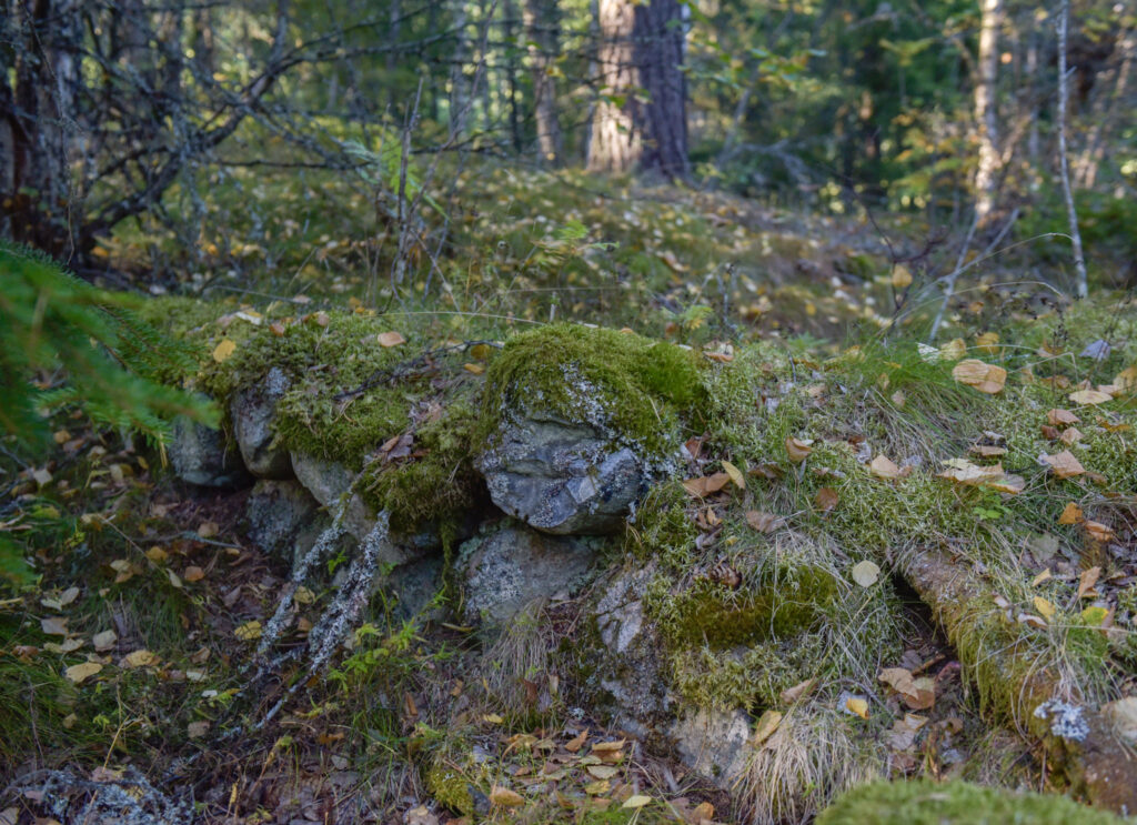 Husmurar på Knollen. Bak ser me "hola" som truleg skulle vere kjellaren. Foto.